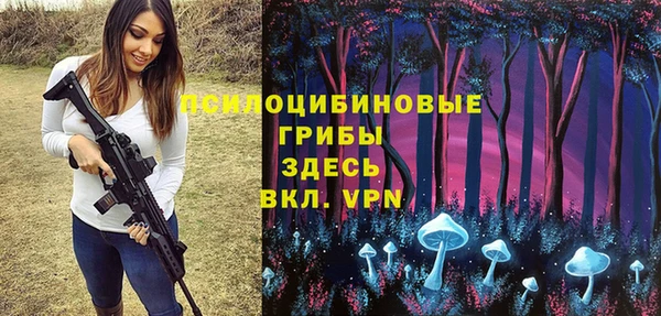 соль ск Краснослободск