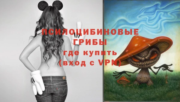 спиды Красноперекопск