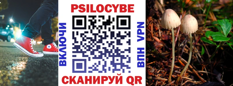 Псилоцибиновые грибы Psilocybe  Суздаль 